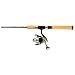 Mitchell 2-Piece Spinning Combo Combo (7-Feet, Medium)