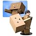 Revoltech: Danboard Figure