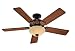 Hunter Fan Company