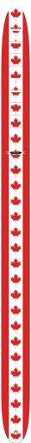 Perri's Leather high res imaging - canada flag