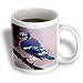 Birds - Blue Jay - Mugs