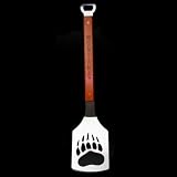 Collegiate Sportula, Team Name