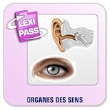 Revue Conitiv - Synchron  / Lexminder Anglais - Logiciel pour mémoriser du vocabulaire - Organes des sens