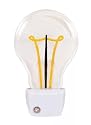 LED Light Bulb Night Light