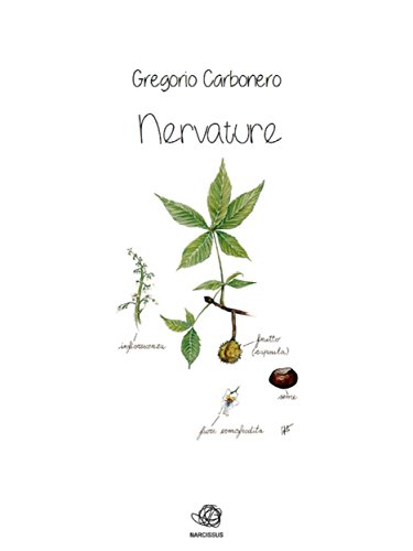Nervature (Italian Edition)
