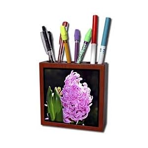 WhiteOak Photography Floral Prints - Spring Hyacinth in Garden - Tile Pen Holders-5 inch tile pen holder