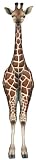 Walls of the Wild Giraffe