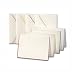 Pearl White Letter Notes with Assorted Color Borders by Crane