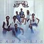 Cameosis
