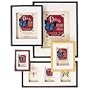MCS Dakota, Wood Shadow Box Frame for a 11x14" Photograph, Color; Black