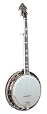 Recording King The Professional Archtop Resonator Banjo