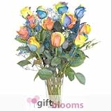 12 Rainbow Roses