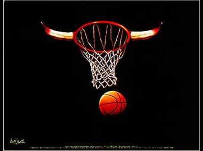Cover image : Net (Bulls) by Scott Mutter - Fine Art Print / Poster - 24.00 x 18.00