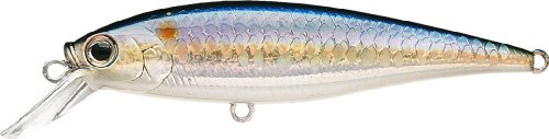 Lucky Craft Pointer 78 Jerkbait (MS American Shad - 3-Inch)