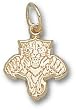 Florida Panthers Cat Logo 1/2" Charm/Pendant -14K/10K, Stainless Steel or Gold Plated