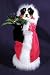Tricolored Aussie Santa Tree Topper