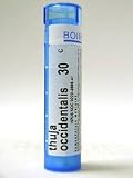 Boiron Thuja Occidentalis 30c - 80 Pellets