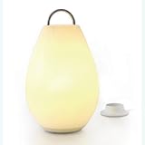 Luau Lantern