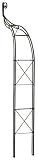 Takasho 12816 Wandrosenbogen Tiziano, schwarz