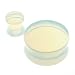 Solid Argenon (Opalite) Semi Precious Stone Saddle Plug - 0G (8mm) - Sold as a Pair