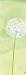 Zartheit Der Pusteblume I - Mannheims Art Print Poster 13 x 38