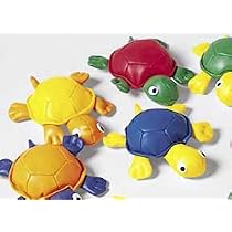 Turtle Bean Bag