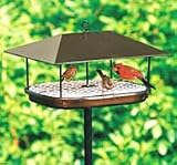 Squirrel Proof Platform Feeder , The Best