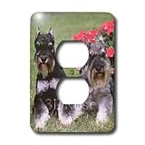 Dogs Schnauzer - Schnauzer - Light Switch Covers - 2 plug outlet cover