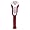 Texas A&M Aggies