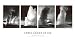 Old Faithful by Ansel Adams - Fine Art Print / Poster - 36.00 x 20.00