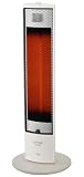 SANYO ���ԊO���X�g�[�u (�z���C�g) RX-F8A(W)