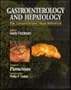 Gastroenterology and Hepatology: The Comprehensive Visual Reference, Volume 8: Pancreas (Vol 8)