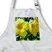Florene Flowers - Triple Butter Beauty - Aprons