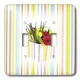 Florene D&eacute;cor II - Flowers In Pastel Stripe Box On Pastel Background - Light Switch... by 3D Rose