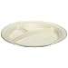 Solo RS10CYC 10In Foam Plate Champagn ( 500-Pack)