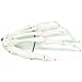 3B Scientific A40L Wire Mounted Human Left Hand Skeleton