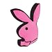 Kitchen & Housewares : Playboy - Magenta Bunny Cushion