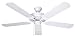 Ellington ELN52WW5 52-Inch Energy Star Five-Blade Ceiling Fan, White