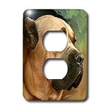 Dogs Cane Corso - Cane Corso - Light Switch Covers - 2 plug outlet cover