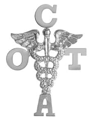 NursingPin - Certified Occupational Therapy Assistant COTA Graduation Pin - Silver