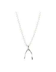 Dogeared Teeny Wishbone Wish 18" Necklace