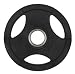 Rubber Encased Weight Plate 10lb