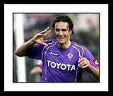 Luca Toni Fiorentina 