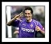Luca Toni Fiorentina 