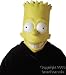 Adult Bart Simpson Halloween Costume