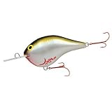Rapala(ラパラ) Rapara Giant Lure RGDT-BOS RGDT-BOS