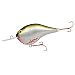 Rapala(���p��) Rapara Giant Lure RGDT-BOS RGDT-BOS