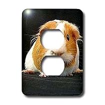 Guinea Pig - Guinea Pig - Light Switch Covers - 2 plug outlet cover