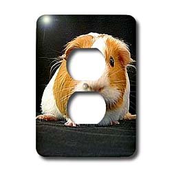 Guinea Pig - Guinea Pig - Light Switch Covers - 2 plug outlet cover