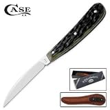Case Knives 20111 Desk Fixed Blade Knife with Olive Green Jigged Bone Handles